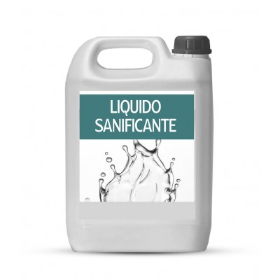 Liquido sanificante diluito per sanyvapor professionale. Tanica 5 Litri. Certificato per la sanificazione fino al 99,9% - Pul...