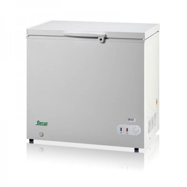 Congelatore a Pozzetto professionale Forcar BD205S 190 lt - Forcar Refrigerati
