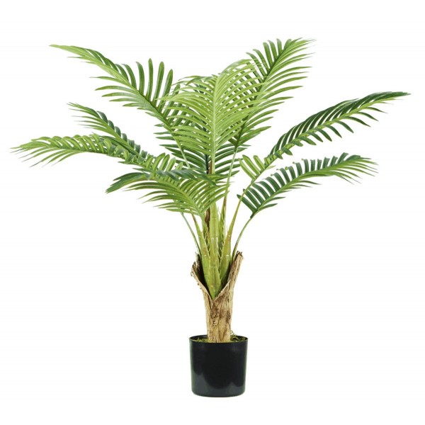 Pianta Palma Areca 9 foglie altezza 90 cm