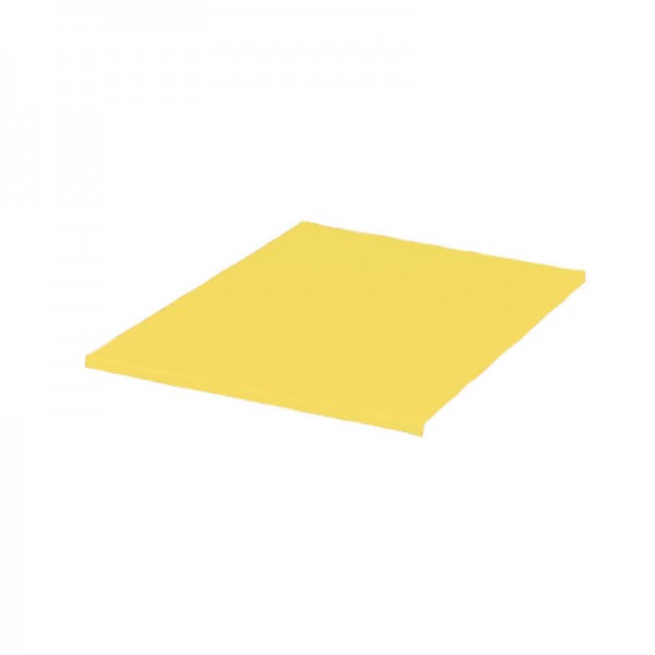 Polyethylene cutting board for cutting cooked meat - Forcar Multiservice