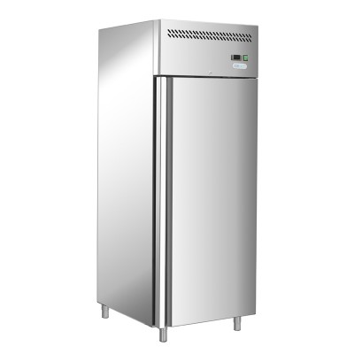Professional fridge -18°/-20°C static 429 Lt. AISI 201. GSnack400BT-FC - Forcar