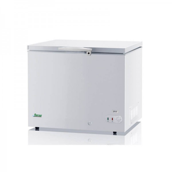 Congelatore a Pozzetto professionale Forcar BD350 269 lt - Forcar Refrigerati