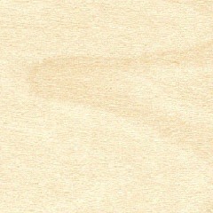 Birch